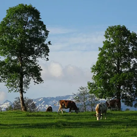 Achrainer-moosen Çiftlik konaklama Hopfgarten im Brixental