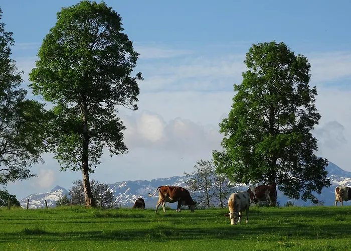 Achrainer-moosen Çiftlik konaklama Hopfgarten im Brixental