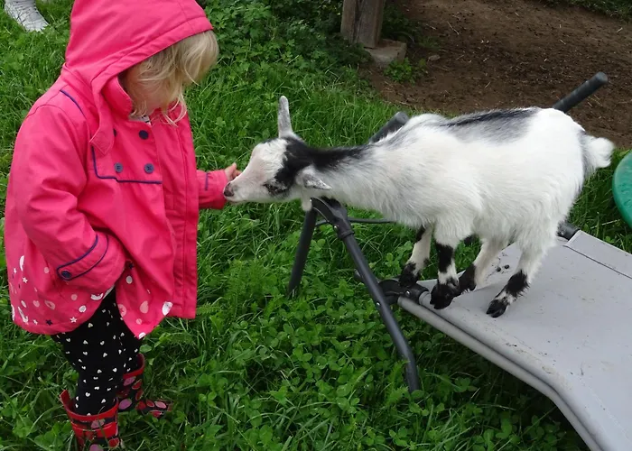 Achrainer-moosen Çiftlik konaklama *